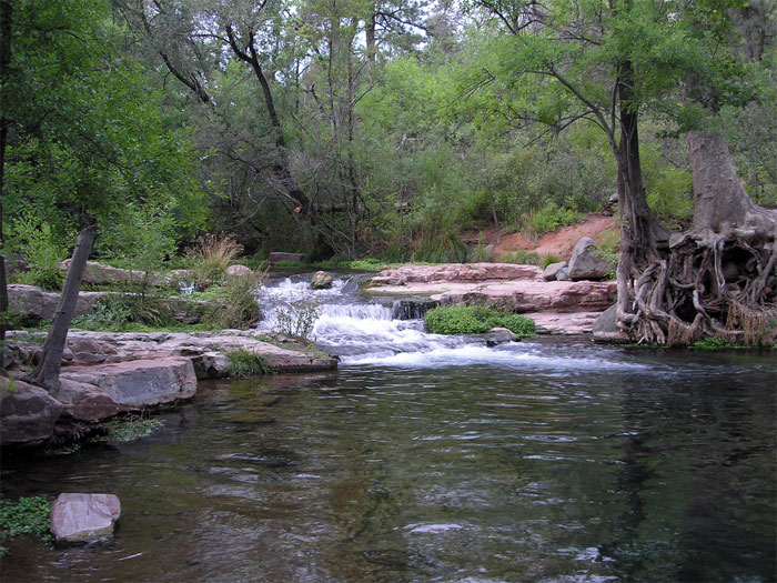Fossil Creek Gila Trout Chapter 530 Of Trout Unlimited